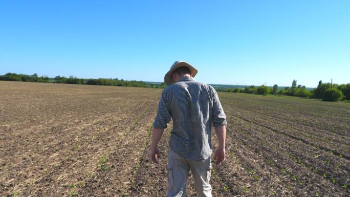 男性农民在干燥的田野上检查嫩绿的嫩芽。