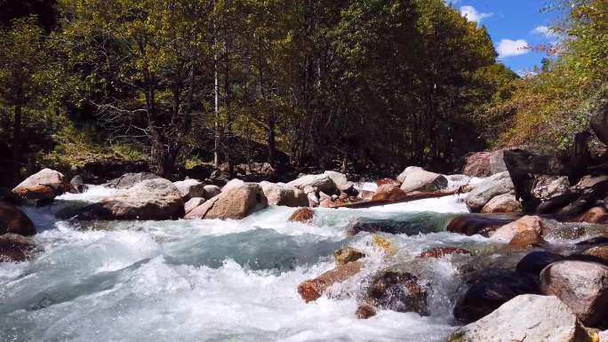 318国道西藏东达山奔腾的溪流