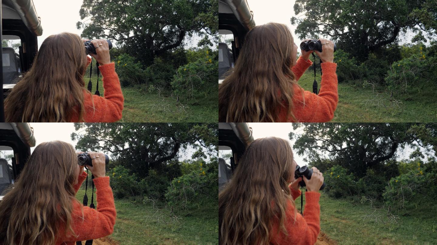 女子在狩猎旅行中用双筒望远镜寻找野生动物