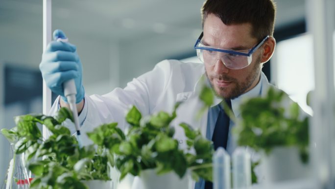微生物学家向绿色植物中添加生物营养补充剂