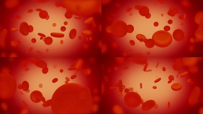红细胞-无限循环素材