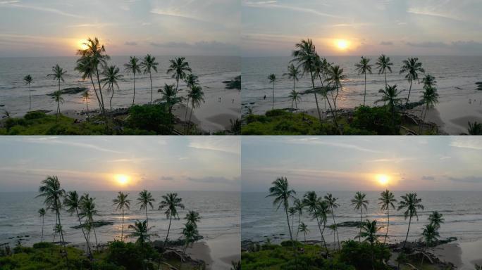 印度果阿海滩棕榈树