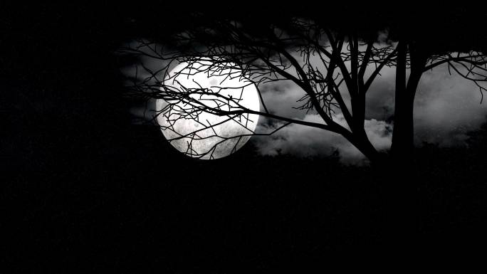 阴暗的树木和云层后面的明月