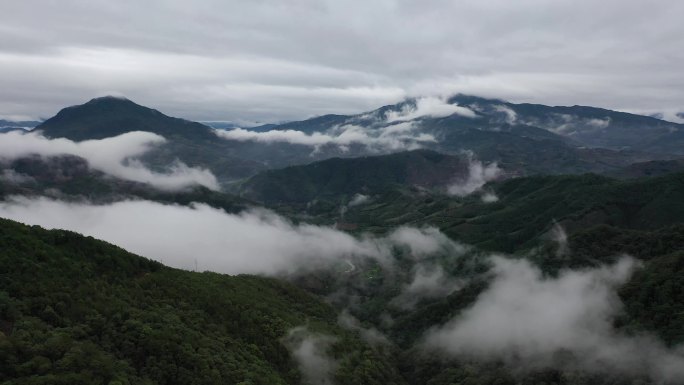 雨后大山大气云雾春天乡村森林绿色生态节气