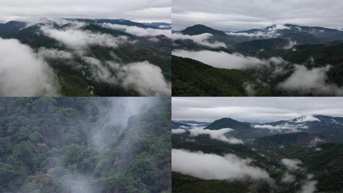 雨后大山大气云雾春天乡村森林绿色生态节气