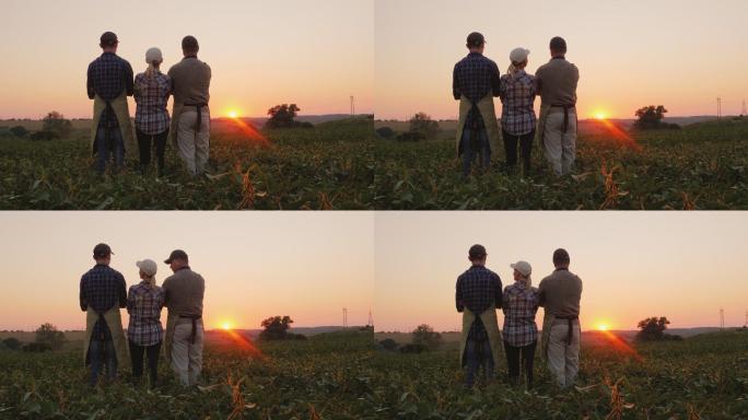 农民家庭在田野里观看日落