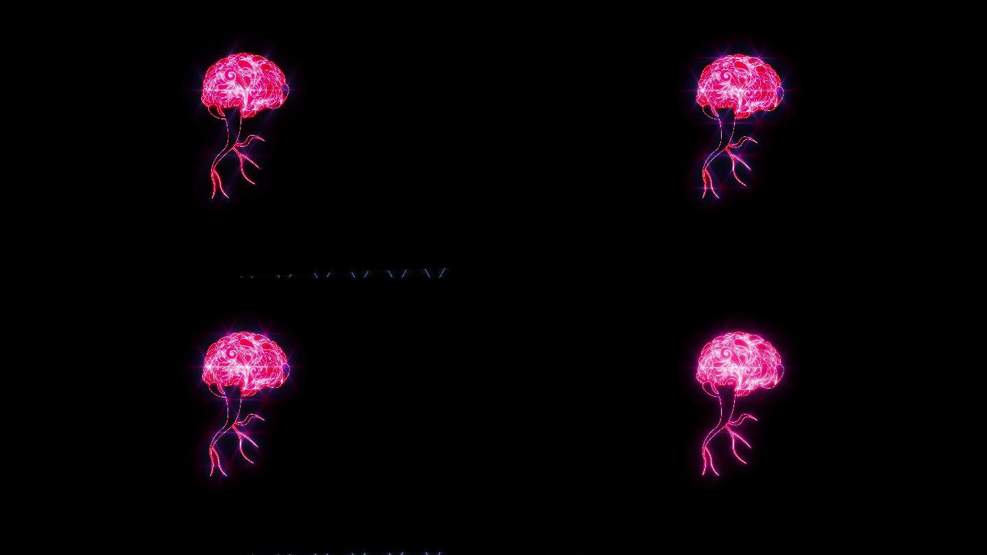 抽象霓虹大脑皮层实拍视频素材