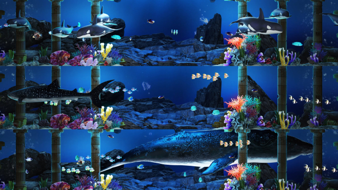 海底世界鱼群动画 循环65