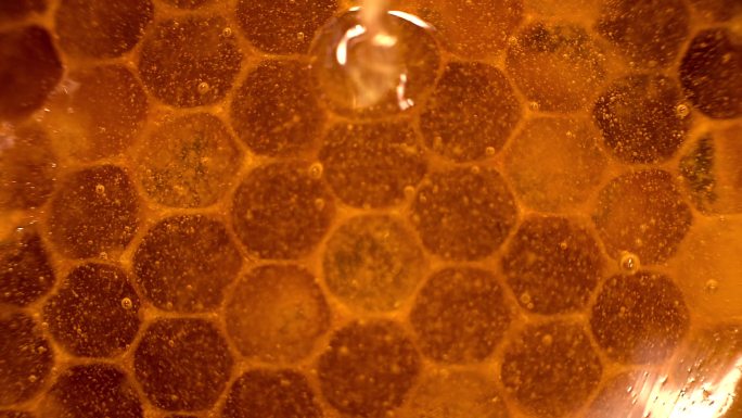 透明的蜂蜜顺着蜂巢流下来。
