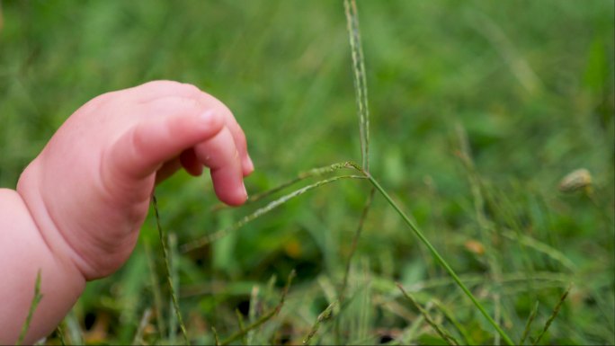 婴儿的手摸着草新生儿草地草丛感受大自然