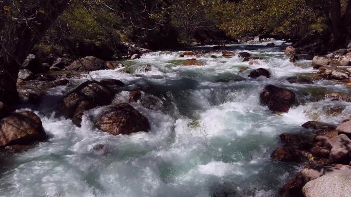 西藏东达山奔腾的溪流