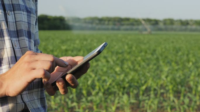 农民在田间使用智能手机