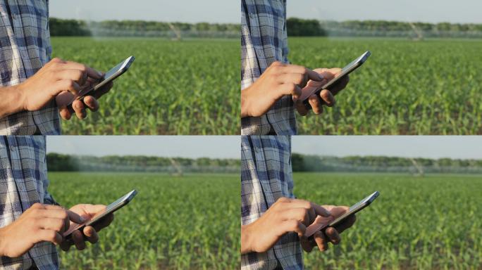 农民在田间使用智能手机