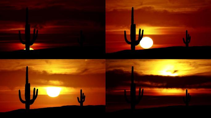 日出时的沙漠景观。