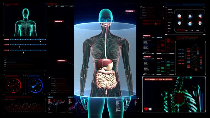 女性身体扫描，数字显示消化系统