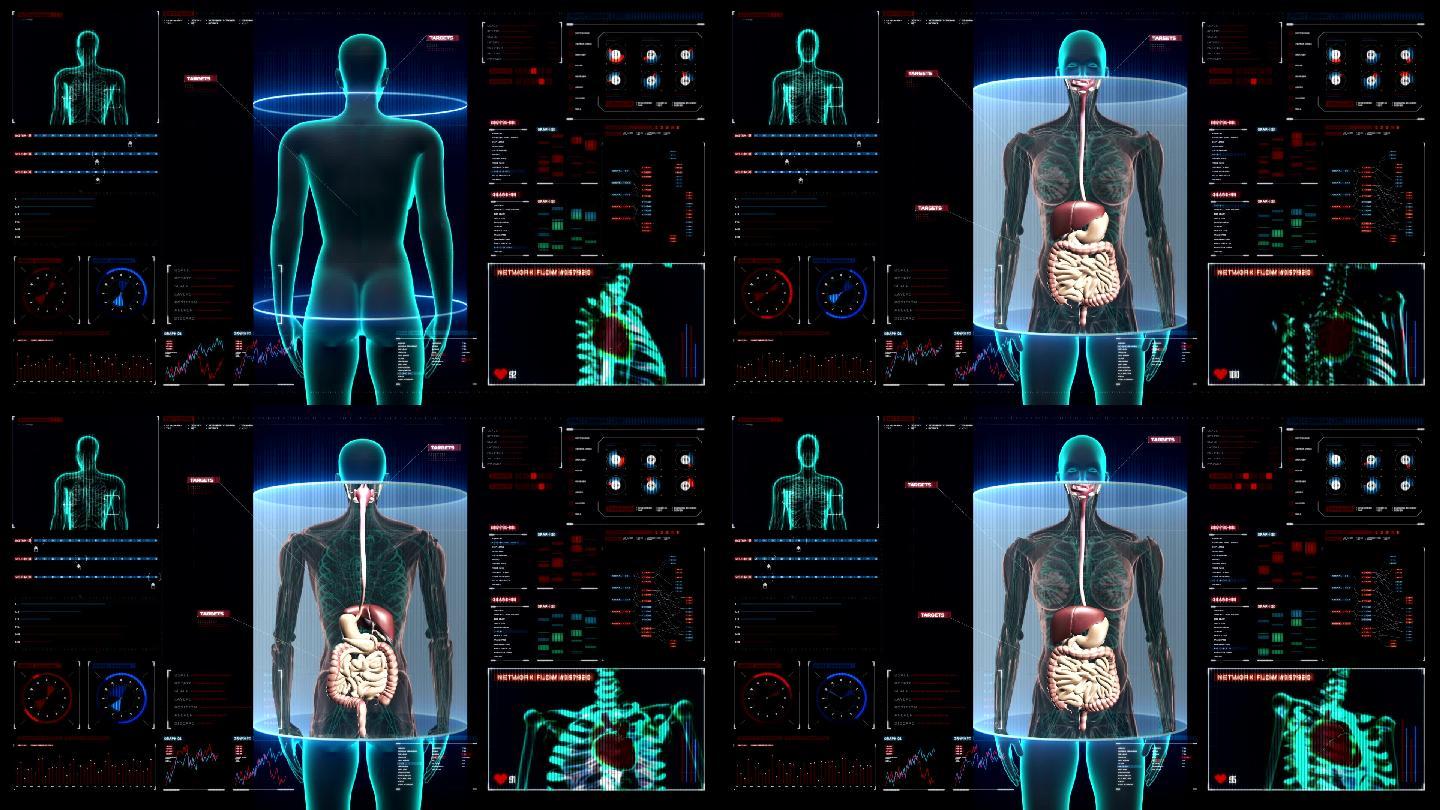 女性身体扫描，数字显示消化系统