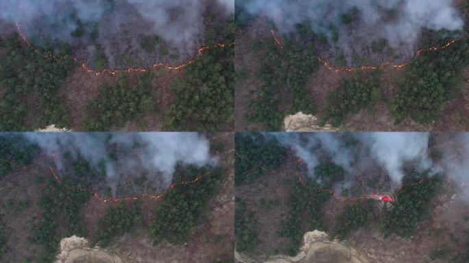 消防直升机扑灭森林大火