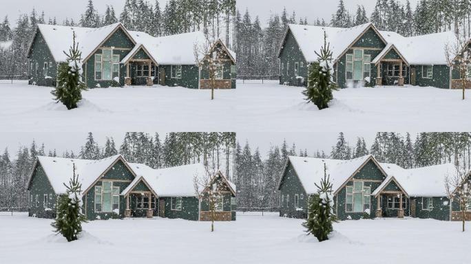 暴风雪中的现代郊区住宅