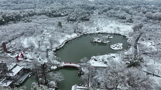 武汉东湖樱园雪景