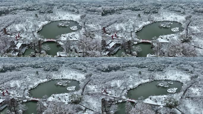 武汉东湖樱园雪景