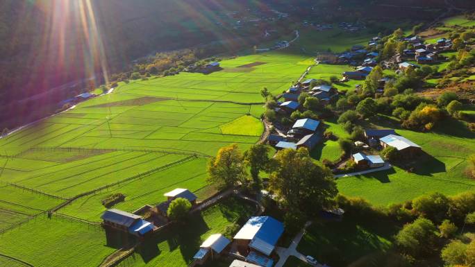 西藏察隅县巴伊村