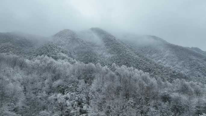 浙江雪后寒潮山区树木雪山雾凇云雾水墨航拍