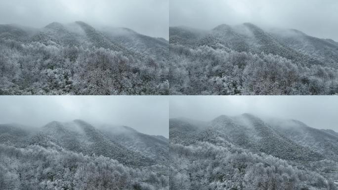 浙江雪后寒潮山区树木雪山雾凇云雾水墨航拍