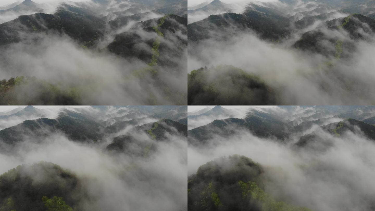 航拍深山云雾