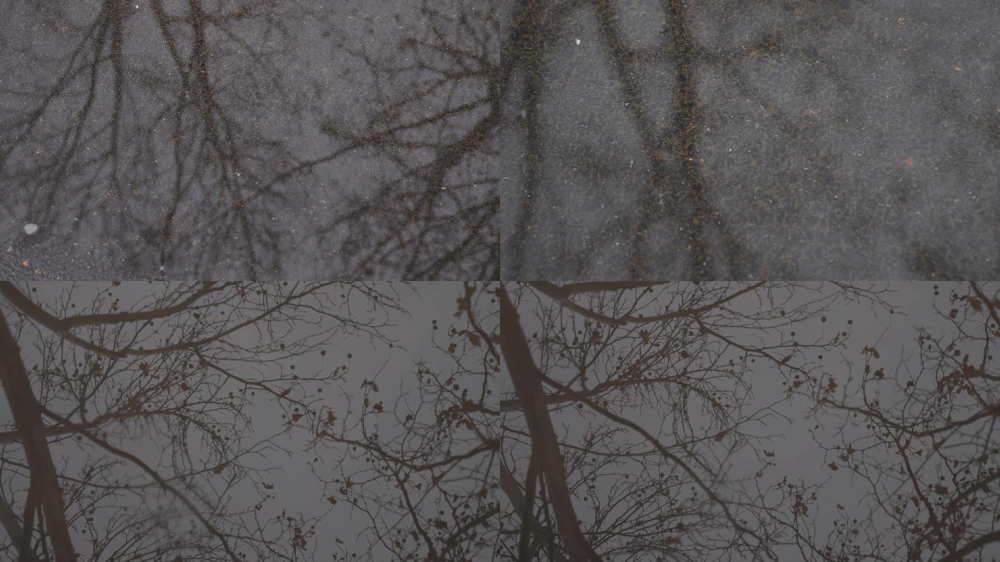 冬天下雪升格水面倒影树枝空镜20