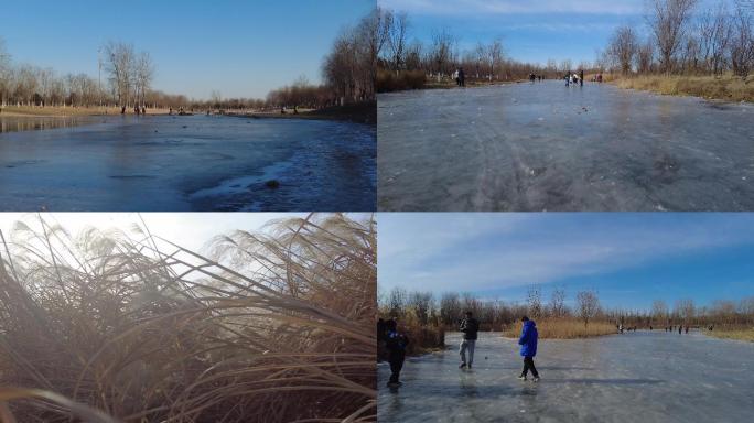 冬天公园小河结冰溜冰的孩子 冬天的芦苇