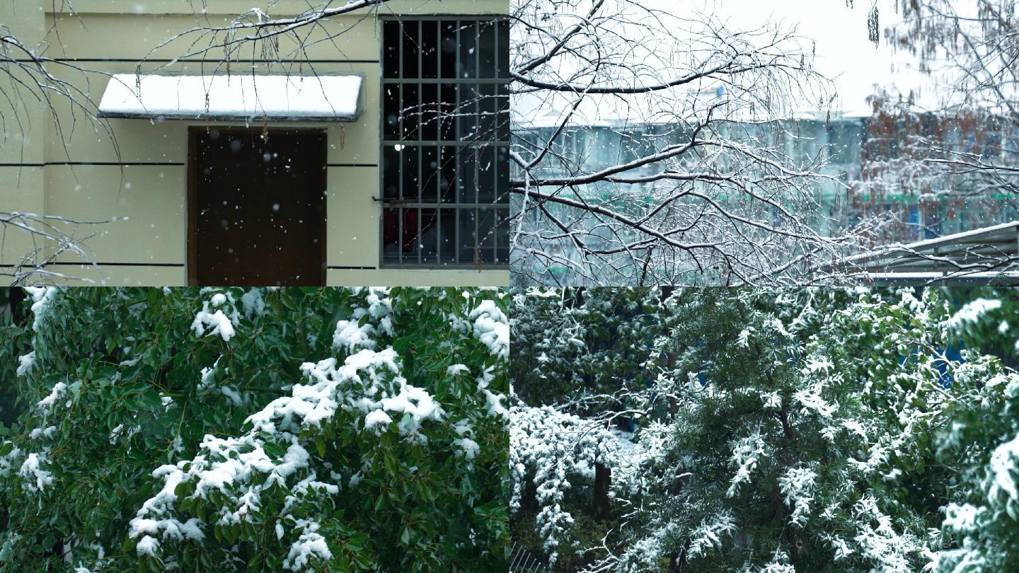 杭州大雪