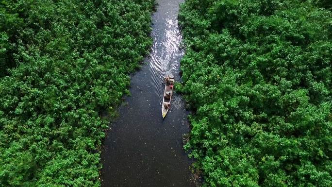 在雨林中横渡一条河的船