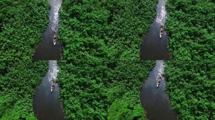 在雨林中横渡一条河的船