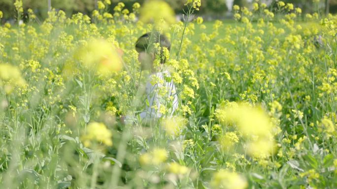 春分清明踏青油菜花孩子奔跑