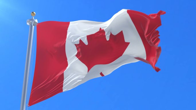 加拿大国旗在蓝天上随风飘扬