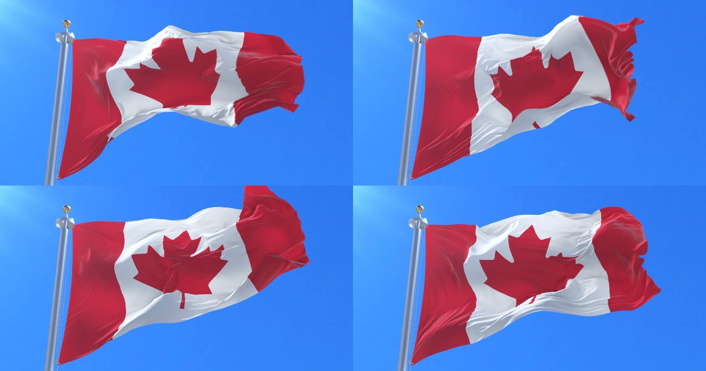 加拿大国旗在蓝天上随风飘扬