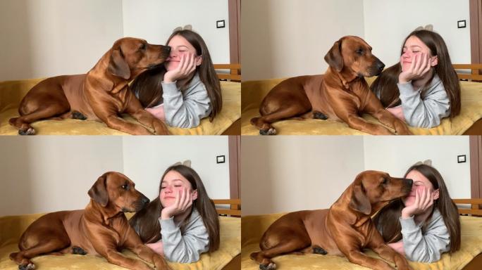狗舔和亲吻女孩的脸