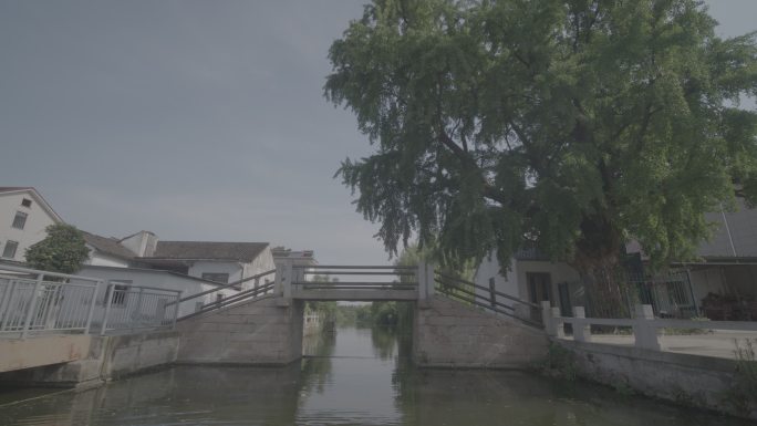 江南小桥流水(S-LOG3颜色)1