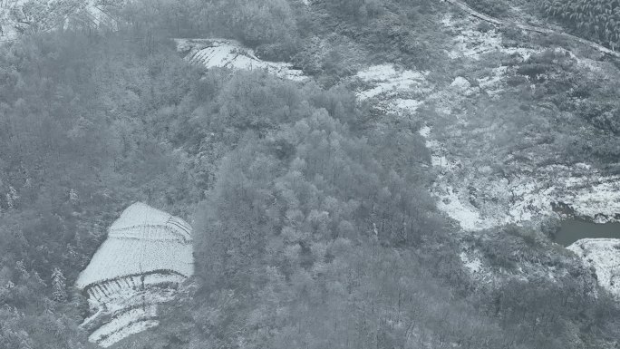 江南冬天雪山田野雾凇冰雪云雾树林浙江寒潮