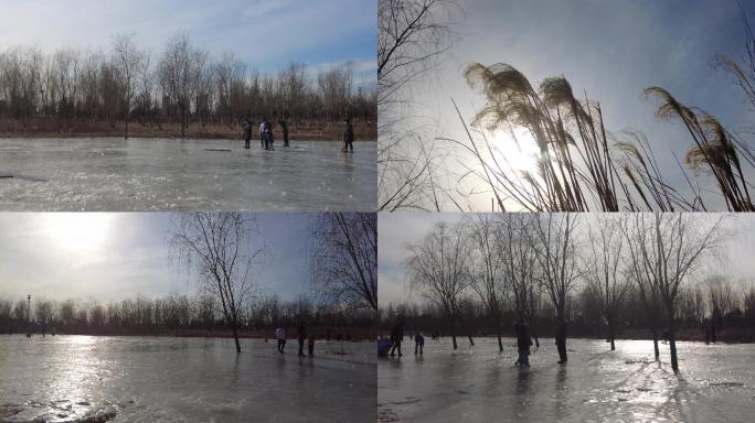 小河结冰溜冰的孩子 逆光的芦苇冰天雪地