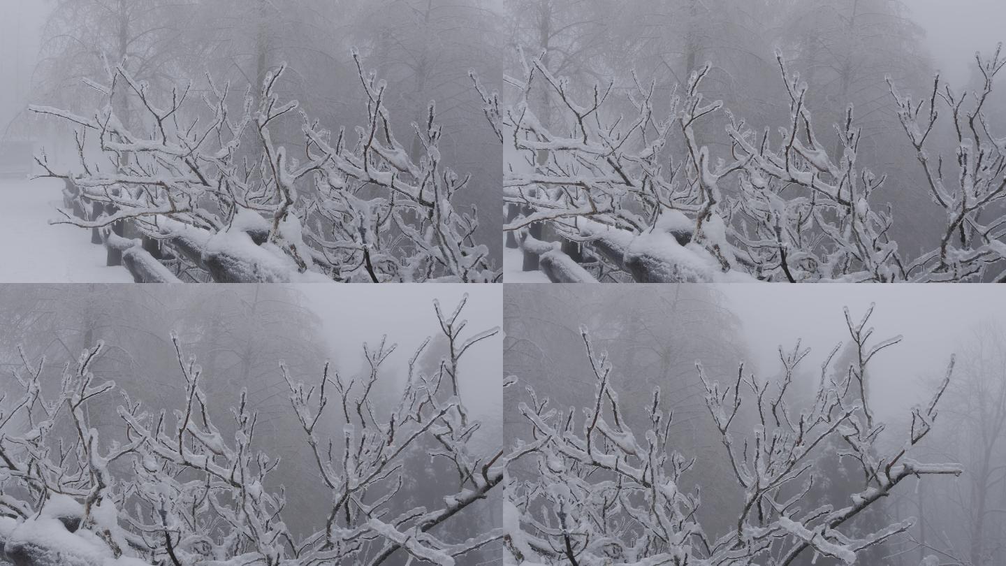 6K浓雾冰雪覆盖的路边树枝02