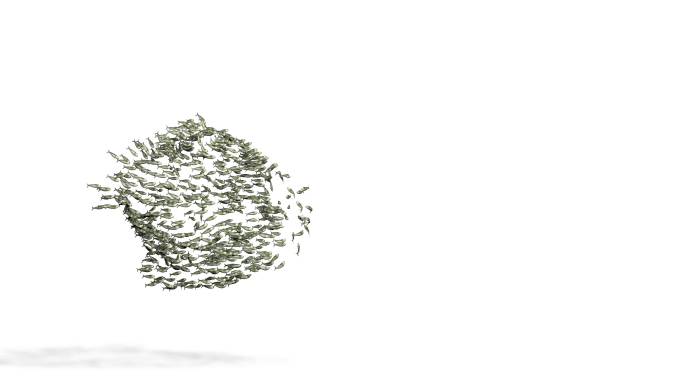 鱼群合成元素三维3D动画