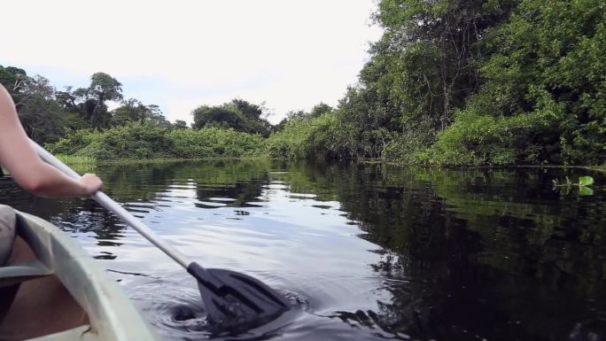 巴西潘塔纳尔河生态建设青山绿水环境整治
