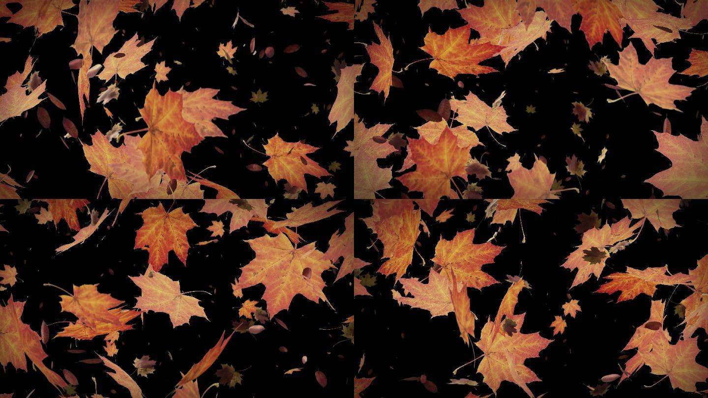秋叶飘落动画法国梧桐树叶飘落动态素材合成