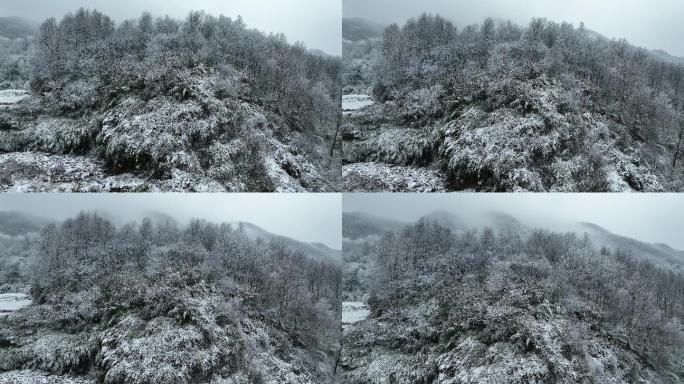 航拍浙江冬天寒潮降雪雾凇雪山水墨中国风