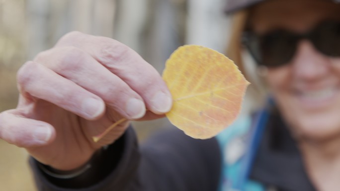 女子拿着一片金黄色白杨树叶