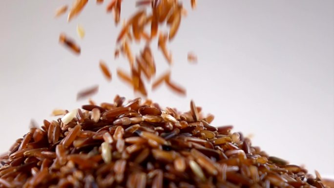 慢动作倒糙米大丰收国外粮食外国谷子