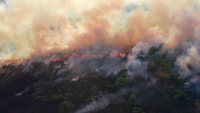 野火鸟瞰图。火和烟。燃烧的森林。