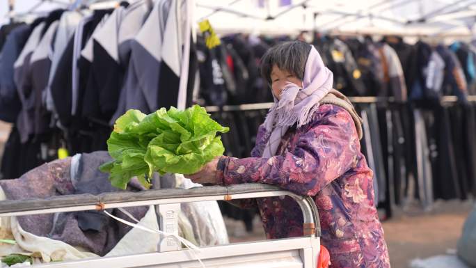 农村集市卖菜的老人摆摊13