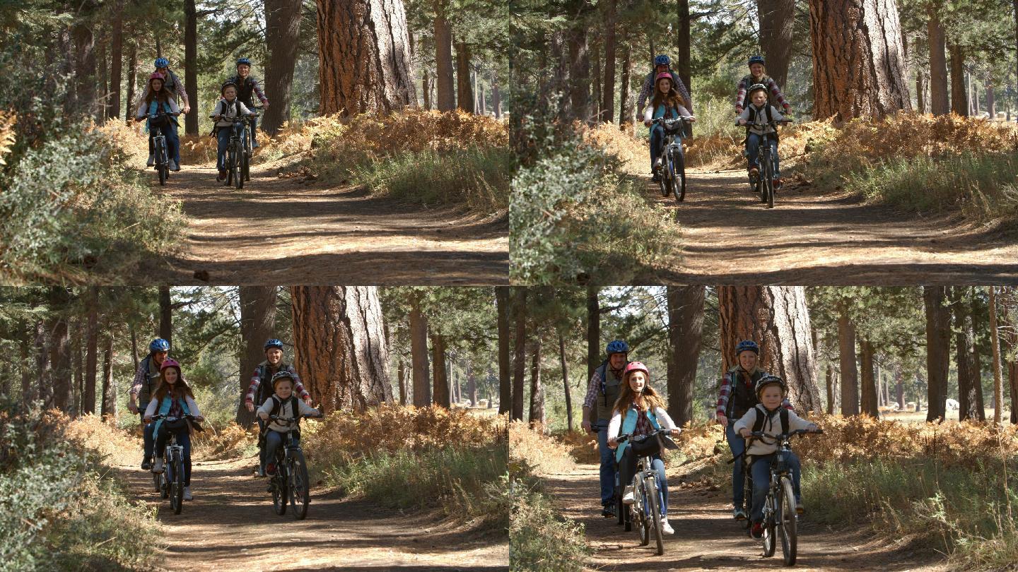 一家人骑着山地自行车穿过森林